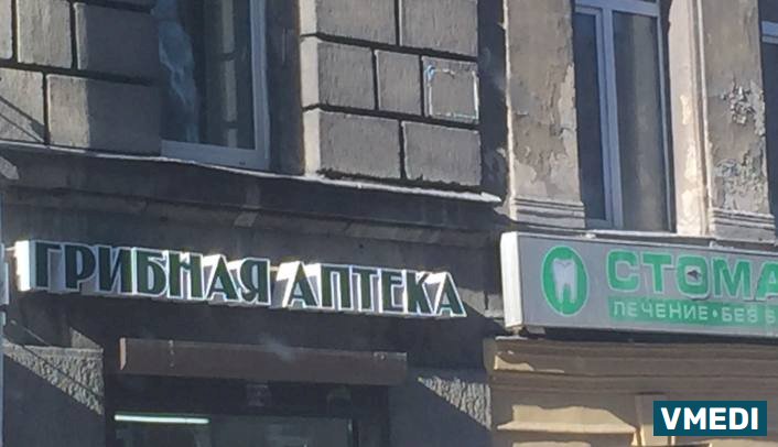 Аптека Грибная аптека