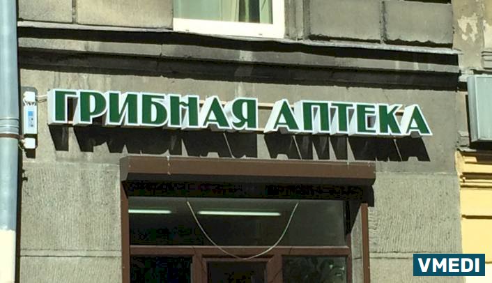 Аптека Грибная аптека