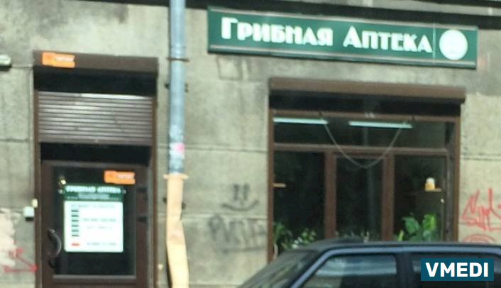 Аптека Грибная аптека