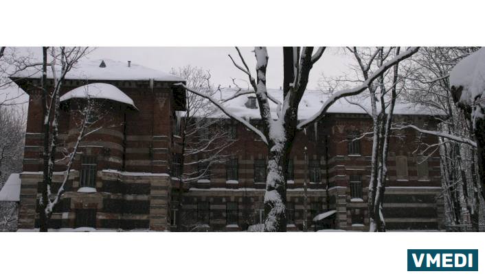 Психиатрическая больница № 3 им. И. И. Скворцова-Степанова