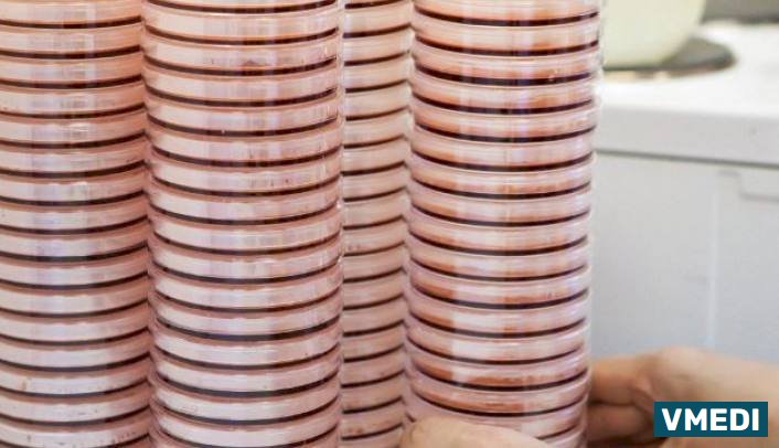 Лаборатория Explana