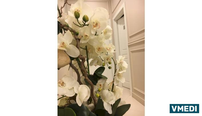 Косметологическая клиника Лазерный Доктор