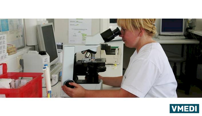 Пункт приема анализов в клинике Доктор