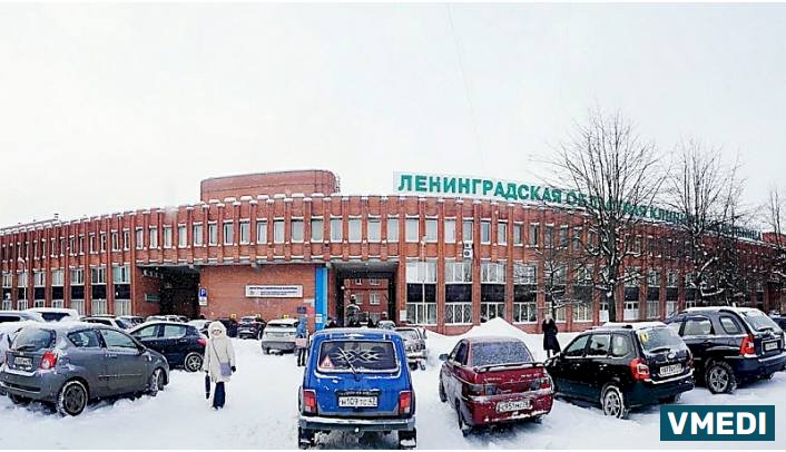 Поликлиническое Отделение # 2 Ленинградской Областной Клинической Больницы, Платные Услуги