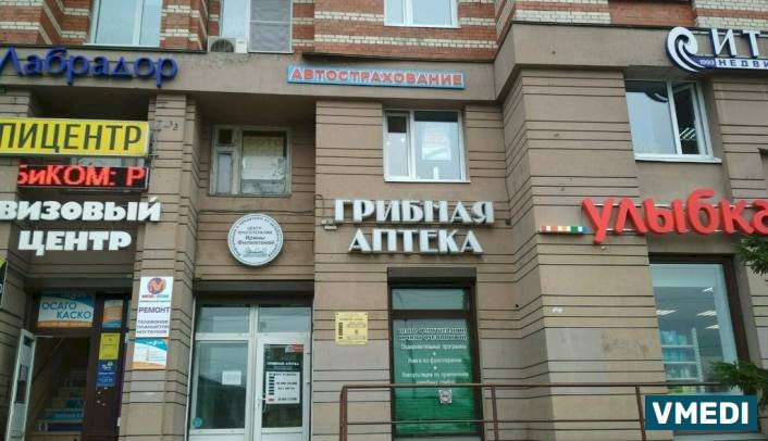 Аптека Грибная аптека